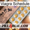 Viagra Schedule 41